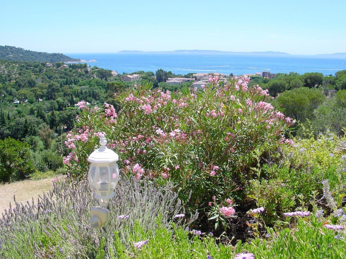 Azur Hotel Le Lavandou Buitenkant foto