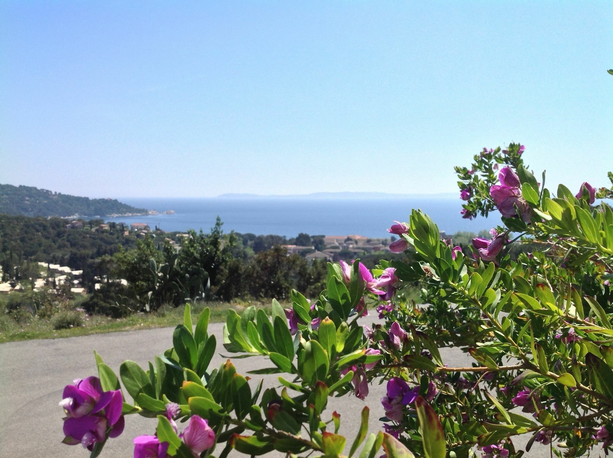 Azur Hotel Le Lavandou Buitenkant foto