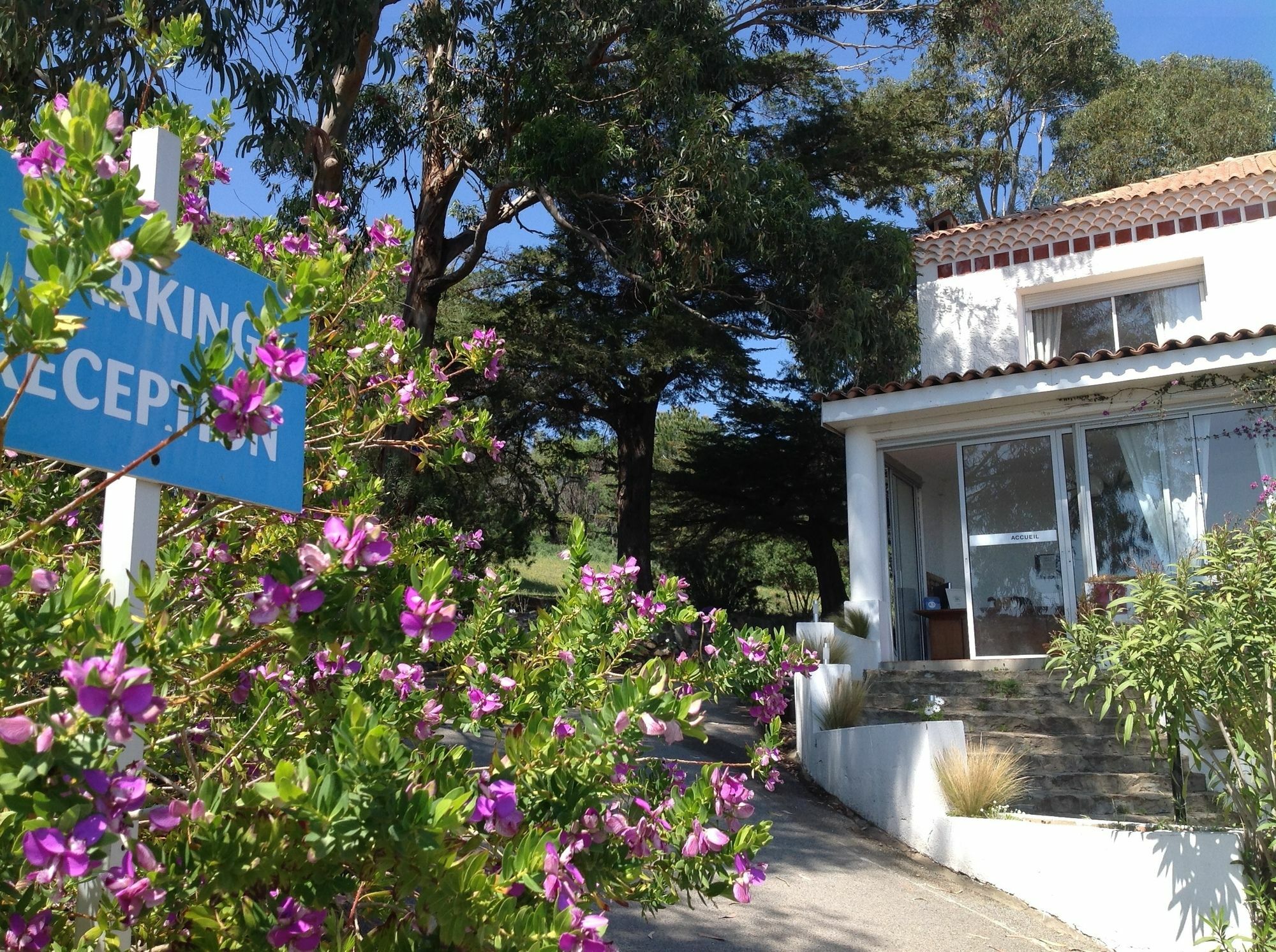 Azur Hotel Le Lavandou Buitenkant foto