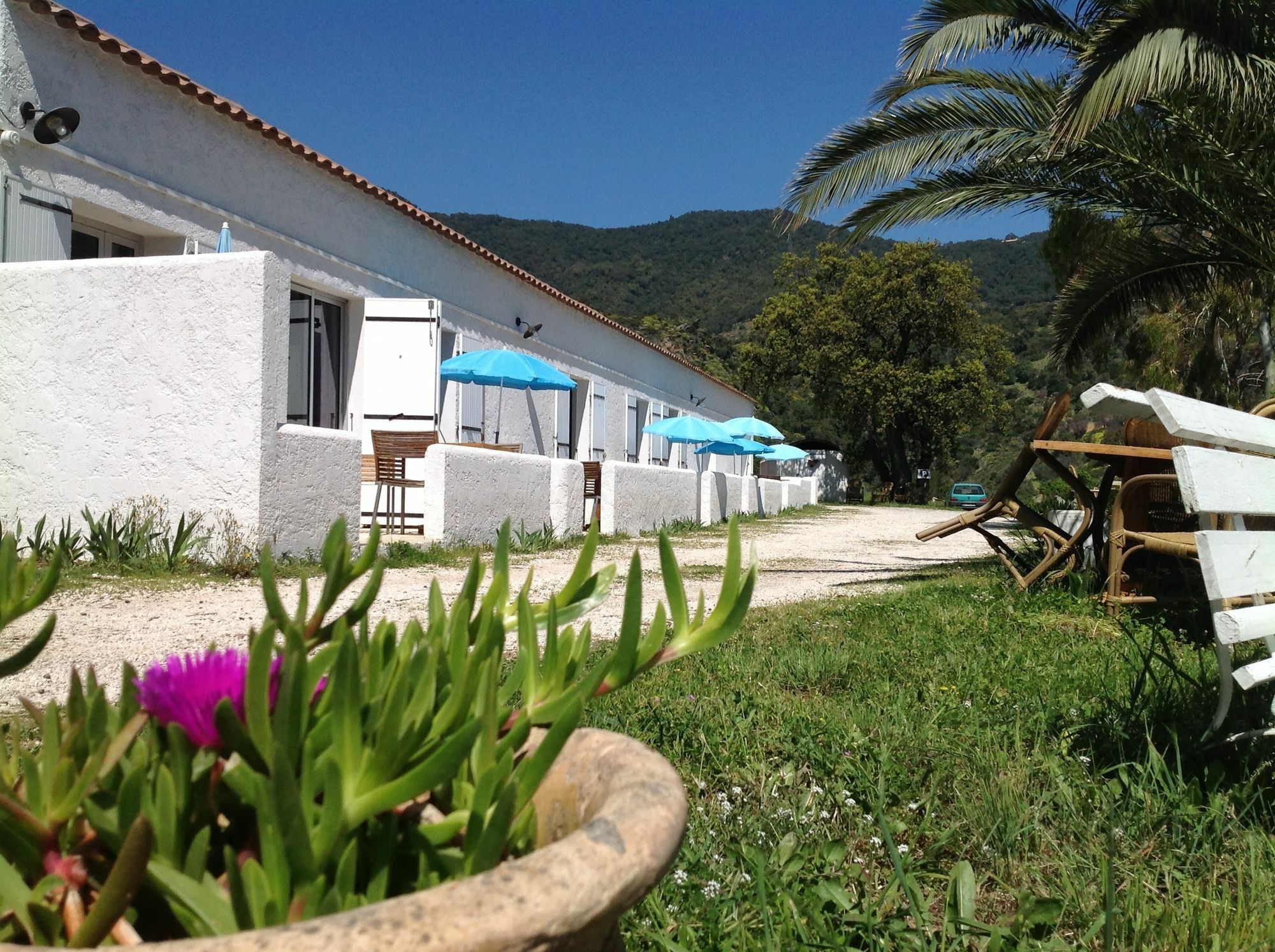 Azur Hotel Le Lavandou Buitenkant foto