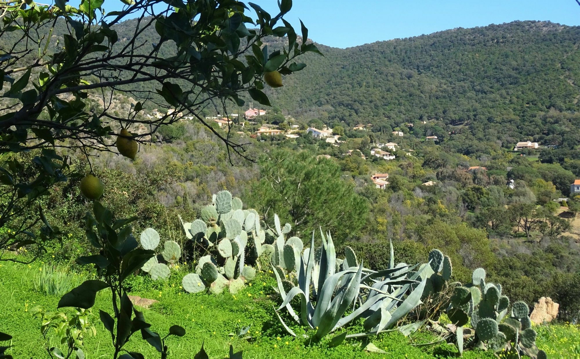 Azur Hotel Le Lavandou Buitenkant foto